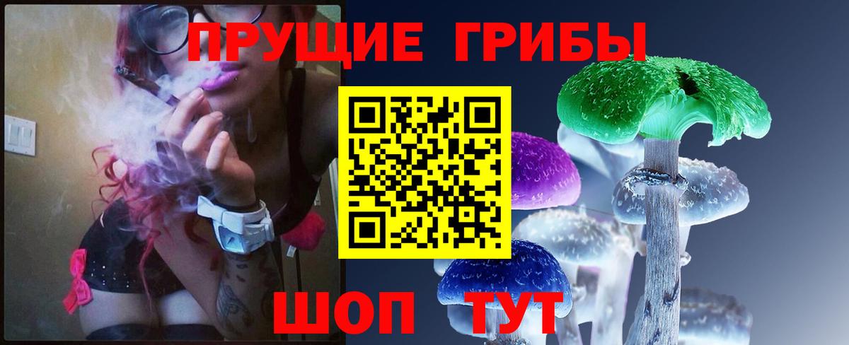 Галлюциногенные грибы Psilocybe Амурск